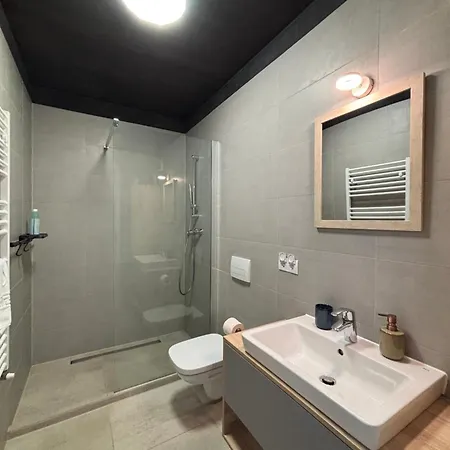 4friendscoresibrasov H Apartment