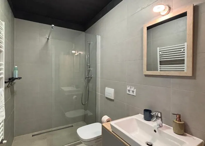 4friendscoresibrasov H Apartament